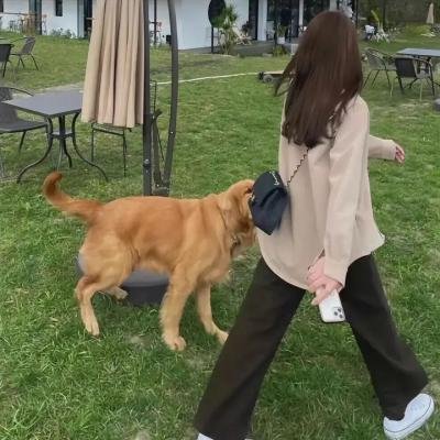 奔月